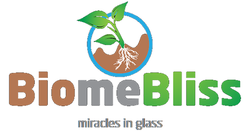 BiomeBliss